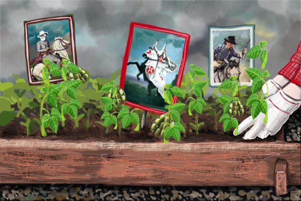 The 20th-Century Rise of the Confederate Soybean | Zocalo Public Square • Arizona State University • Smithsonian