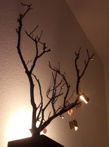 Advocate for the Unhoused Shawn Pleasants | Zocalo Public Square • Arizona State University • Smithsonian