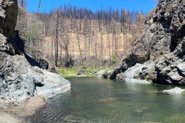 The Fires California Grieves—And Needs | Zocalo Public Square • Arizona State University • Smithsonian