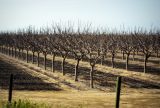 To Beat Climate Change, Rural Towns and Farms Need to Head North | Zocalo Public Square • Arizona State University • Smithsonian