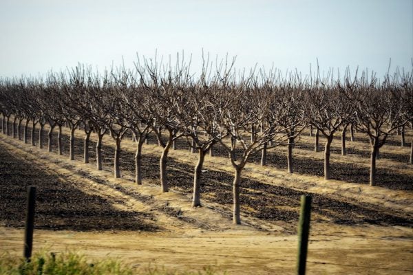 To Beat Climate Change, Rural Towns and Farms Need to Head North | Zocalo Public Square • Arizona State University • Smithsonian