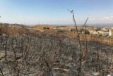 Lebanon’s Other Explosion | Zocalo Public Square • Arizona State University • Smithsonian