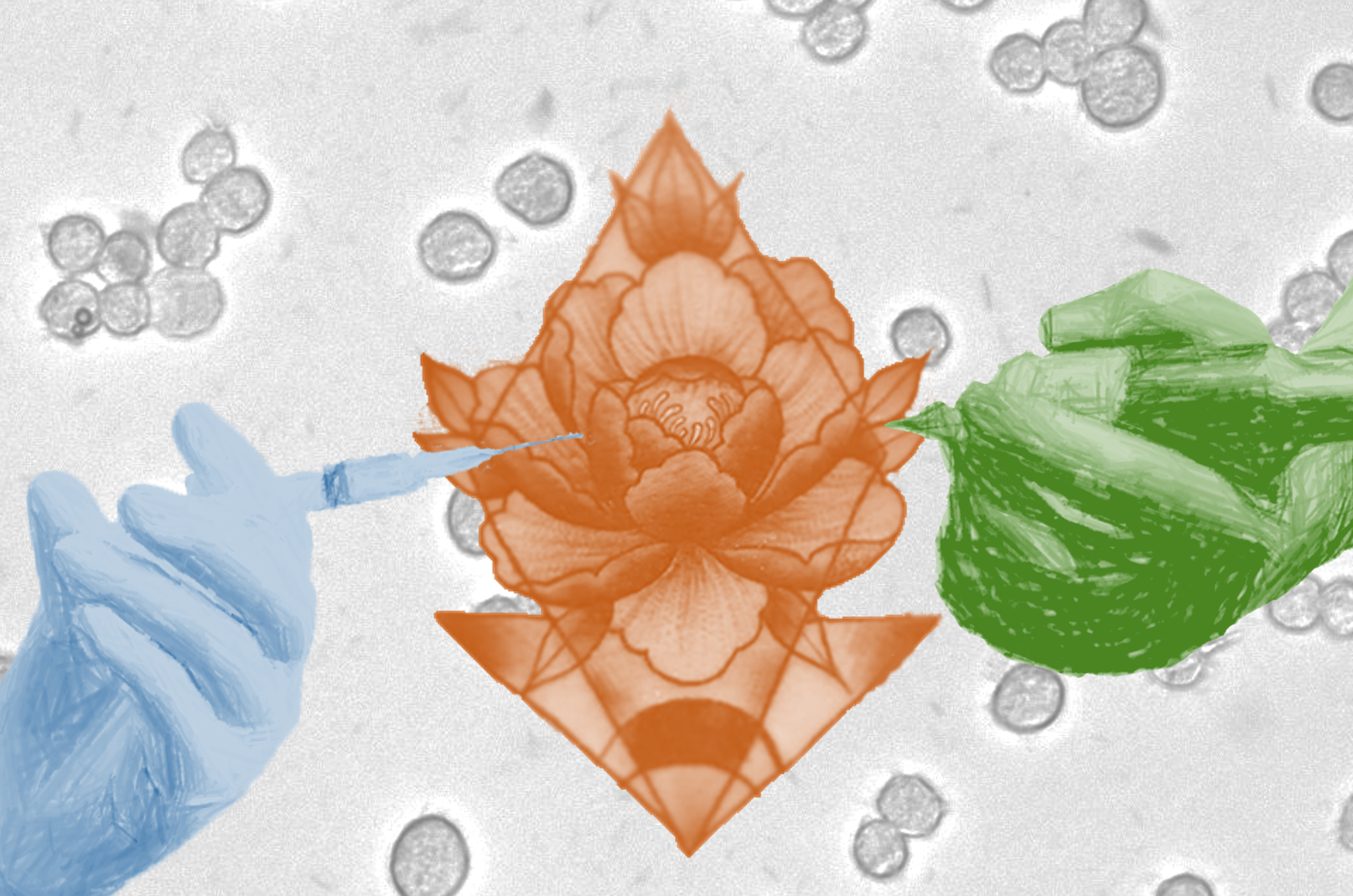 Could a Tattoo Cure What Ails You? | Zocalo Public Square • Arizona State University • Smithsonian