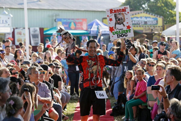 In Petaluma, the Future of Democracy and the Fate of the World’s Ugliest Dog Contest Are Intertwined | Zocalo Public Square • Arizona State University • Smithsonian