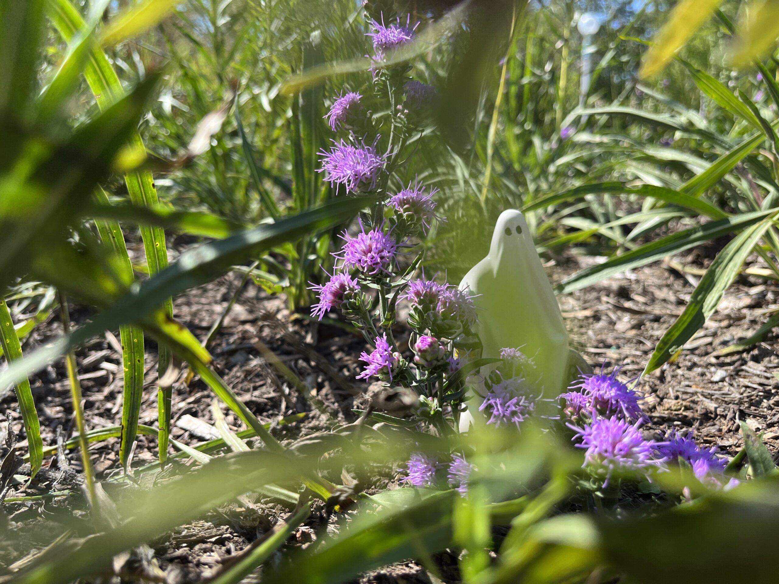 Where I Go<span class="colon">:</span> Hunting Queer Ghosts in Chicago | Zocalo Public Square • Arizona State University • Smithsonian