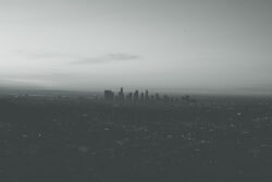 Hatred of the Various Grays | Zocalo Public Square • Arizona State University • Smithsonian