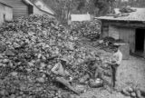 Two men sitting, one on stool, and man to right standing is holding a thick stick. The men sitting have weaved baskets at their feet. Surrounded to left by large piles of coconut husks and shells that are split. Background of colonial buildings and behind tropical foliage including palm trees