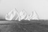 Black and white photo of three white flags and their poles strung to a dirt empty ground. The flags are flying to the left, seemingly from wind, with the creases making the flags look like icebergs.